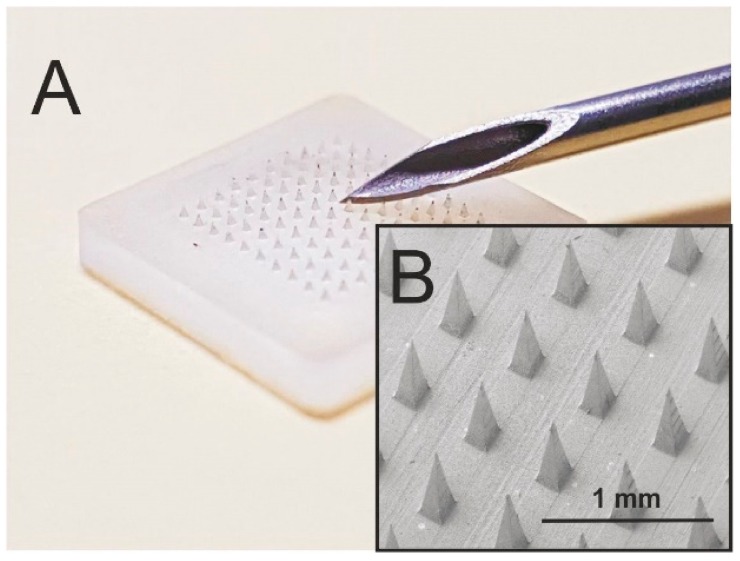 MICRONEEDLE ARRAY PATCH FOR VACCINE DELIVERY